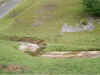 yorkshire_3.jpg (66219 bytes)