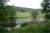 yorkshire_4.jpg (196267 bytes)
