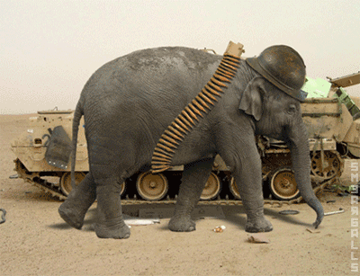 backfiring elephant