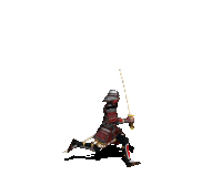 samurai cutting
