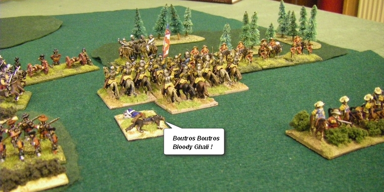 FoG:R Thirty Years War: Later Imperial Spanish vs Early TYW Swedish, 15mm