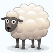 Sheep Pooping