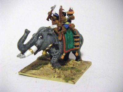 Indian Elephant
Meaty! 
Keywords: indian hindu