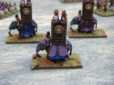 Elephants
Keywords: HOTHER