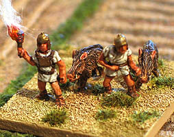 Flaming Pigs !
Photos kindly supplied by the manufacturer [url=http://www.baueda.com]Baueda[/url]. These figures are designed for incendiary pigs and handlers to be used as Reg Art(I) in DBM list 10 bookII, Camillan Roman 400BC - 275BC 
Keywords: hfoot MRR