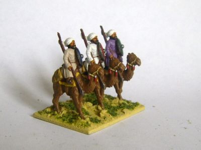 Generic Arab Camelry
Arab troops painted by Martin van Tol 
Keywords: arabcav arabfoot