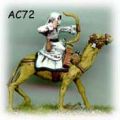 ac72_camel_bow.jpg