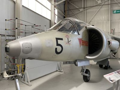 Kesterl - Harrier forerunner
