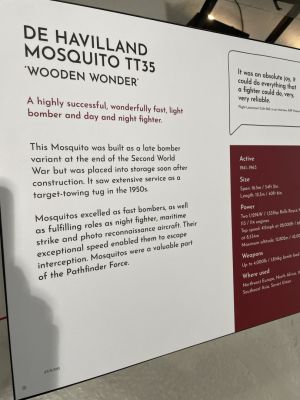 Mosquito
