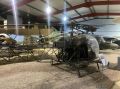 IMG_7260.JPEG