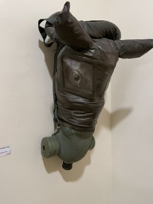 Horse Head gas mask
