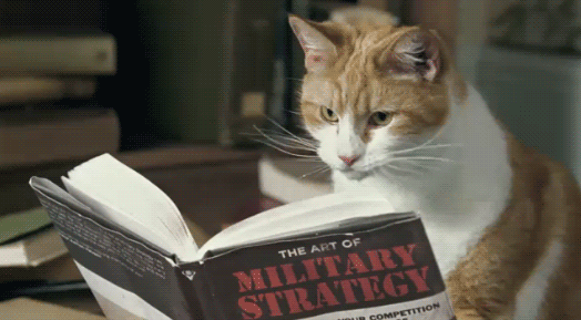 Strategy Cat